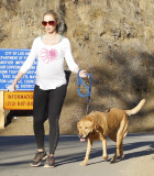 EXCL Pregnant Emily Blunt gets exercise with her dog