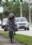Cold weather in Florida