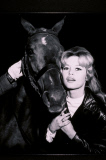 Brigitte Bardot - Actress Turned Activist