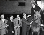 Actress, Model, Singer Brigitte Bardot 1934 -