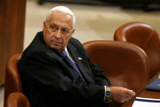 Israel Prime Minister Ariel Sharon
