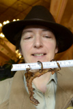 Inventur im Zoo in Hannover