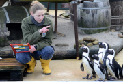 Inventur im Zoo in Hannover