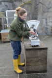 Inventur im Zoo in Hannover