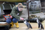 Inventur im Zoo in Hannover
