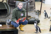 Inventur im Zoo in Hannover