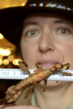 Inventur im Zoo in Hannover