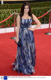 20th Annual Screen Actors Guild Awards, Arrivals, Los Angeles, America - 18 Jan 2014