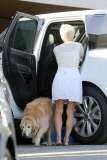 Newlywed Pamela Anderson and her pups