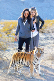 *EXCLUSIVE* **NO WEB** Michelle Rodriguez and Cara Delevingne take a walk on the Wild Side