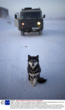 Village of Oymyakon, which is considered to be the coldest permanently inhabited settlement in the world, Russia - Jan 2013