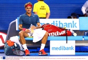 Australian Open Tennis 2014, Day Twelve, Melbourne Park (Melbourne, AU) - 24 Jan 2014