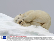 The Wonder of Svalbard, Norway - 2013