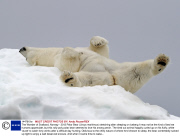 The Wonder of Svalbard, Norway - 2013