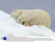 The Wonder of Svalbard, Norway - 2013