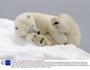 The Wonder of Svalbard, Norway - 2013