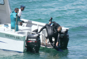 EXC: BEN STILLER GOES SHARK DIVING!
