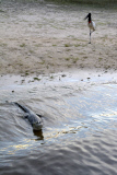 Pantanal wetlands, Brazil - Oct 2013
