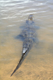 Pantanal wetlands, Brazil - Oct 2013