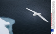 Dr Andrew Peacock shares favourite images from stranded Australasian Antarctic Expedition - Dec 2013