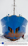 Dr Andrew Peacock shares favourite images from stranded Australasian Antarctic Expedition - Dec 2013