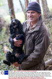 Gundog named as best in Britain - 04 Feb 2014
