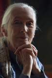 Jane Goodall tours South Africa
