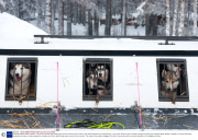Jokkmokk Winter Market, Sweden - 06 Feb 2014