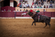 Portuguese-style bullfights