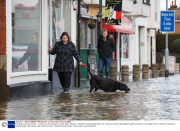 Flooding in Datchet, Britain - 10 Feb 2014