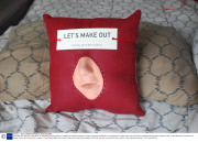 'Let's Make Out' kissing practice pillows, St. Petersburg, Florida, America - Feb 2014