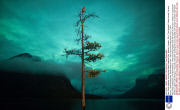 Paul Zizka captures Auroras over Banff National Park, Alberta, Canada - 2014