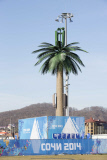 Sochi Olympic Park