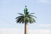 Sochi Olympic Park