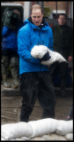 Prince William and Harry put snadbags out in the floods