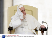 Public Papal audience, Vatican City, Rome, Italy - 19 Feb 2014