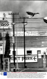 Film Supergirl 1984 Scenes On The Set Of Supergirl At Pinewood Studio Supergirl Is A 1984 Superhero Film Directed By Jeannot Szwarc. It Is Based On The Dc Comics Character Of The Same Name And Is A Spin-off To Alexander And Ilya Salkind's Superman F
