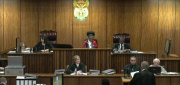 Oscar Pistorius murder trial - Day 1