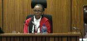 Oscar Pistorius murder trial - Day 1
