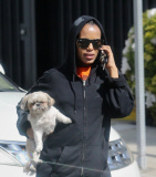 "Django" Star Kerry Washington Walks the Pooch