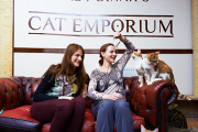 Lady Dinah's Cat Emporium