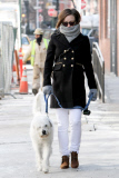 Olivia Wilde gets bundled up to walk Paco