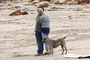 Charlize Theron and Sean Penn bring their love to the beach
