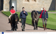 Prince Edward and family riding at Windsor Castle, Berkshire, Britain - 15 Mar 2014