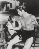 Tarzan And The She-devil Moviestills
