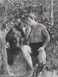 1951 - Tarzan's Peril - Moviestills