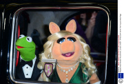 'Muppets Most Wanted' film premiere, London, Britain - 24 Mar 2014