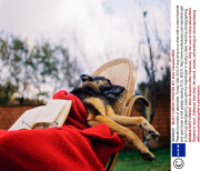 Peaceful portraits of dead pets, Turkey, Mar 2014