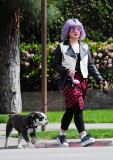 Kelly Osbourne 'Picks Up' After Her Bulldog Willy While Out for a Walk