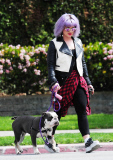 Kelly Osbourne 'Picks Up' After Her Bulldog Willy While Out for a Walk